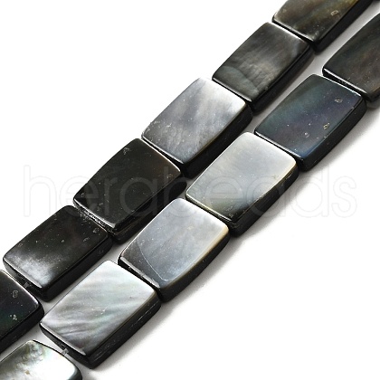 Natural Black Lip Shell Beads Strands BSHE-D300-03-10x14mm-1