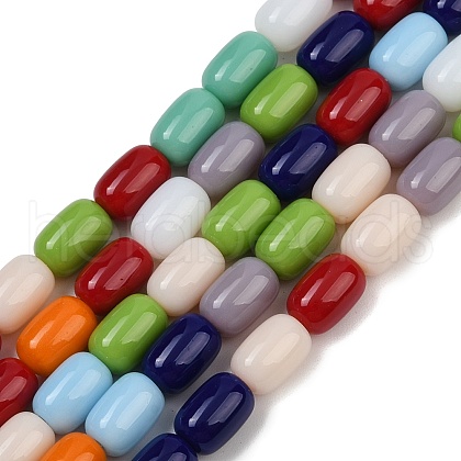 Handmade Lampwork Beads Strands LAMP-S070-09-1