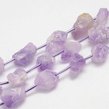 Natural Amethyst Bead Strands G-G937-M-03-1