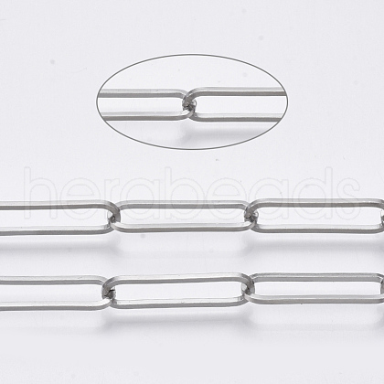Tarnish Resistant 304 Stainless Steel Paperclip Chains CHS-T003-02-1