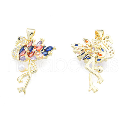 Brass Micro Pave Cubic Zirconia Pendants ZIRC-N039-272B-1