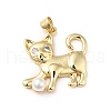Rack Plating Brass Micro Pave Cubic Zirconia Pendants KK-E060-24G-1
