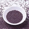 MIYUKI Delica Beads SEED-X0054-DB1012-2