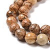 Natural Picture Jasper Beads Strands G-E571-28B-3