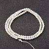 Natural White Shell Beads Strands G-G680-54-2