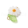 4Pcs 4 Styles Natural Freshwater Shell Enamel Pendants PALLOY-JF03480-5