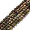 Natural Dendritic Jasper Beads Strands G-D481-16-1