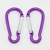 Aluminum Rock Climbing Carabiners X-EA026-2