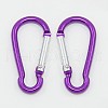 Aluminum Rock Climbing Carabiners X-EA026-2