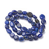 Natural Lapis Lazuli Beads Strands G-Q961-25-2