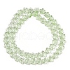 Transparent Glass Beads Strands GLAA-H038-02B-2