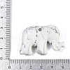  Natural Howlite Carved Pendants G-K383-15B-3