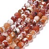 Natural Fire Crackle Agate Beads Strands G-B079-C03-03-2