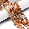 Natural Red Agate Beads Strands G-G146-A25-01-1