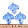 Transparent Acrylic Pendants TACR-T024-01B-940-4