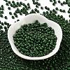 Baking Paint Glass Seed Beads SEED-H002-I-A520-2