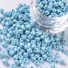 6/0 Glass Seed Beads SEED-US0003-4mm-123-1