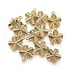 Tibetan Style Alloy Pendants GLF10734Y-2