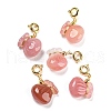 Natural Yan Yuan Agate Pendant Decorations G-P509-08G-1