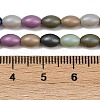 Handmade Lampwork Beads Strands LAMP-S070-11A-4
