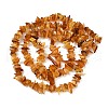 Natural Amber Beads Beads Strands G-Q060-C05-3