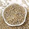 Transparent Inside Colours Glass Seed Beads X1-SEED-A032-04V-2