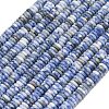 Frosted Natural Blue Spot Jasper Beads Strands G-K389-C05-01A-2
