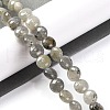Natural Labradorite Beads Strands G-T047-A18-01-2