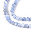 Dyed Natural Trochid Shell/Trochus Shell Beads Strands SSHEL-T017-13M-4
