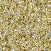 MIYUKI Round Rocailles Beads X-SEED-G009-RR0577-3
