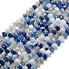 Natural Banded Agate Beads Strands G-P573-A10-01-2