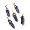Natural Blue Sesame Jasper Pointed Pendants G-K329-28G-1