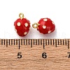 Brass Enamel Charms KK-I276-27G-01-3