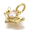 Rack Plating Brass Micro Pave Cubic Zirconia Charms KK-I720-49G-2
