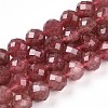 Natural Strawberry Quartz Beads Strands G-S345-10mm-21-1