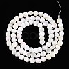 Natural Trochid Shell/Trochus Shell Beads Strands SSHEL-N040-06-2