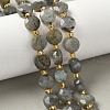 Natural Labradorite Beads Strands G-G271-C09-10mm-1