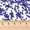 Baking Paint Glass Seed Beads SEED-S042-05A-26-4