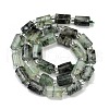 Natural Prehnite Beads Strands G-G162-D09-01-3