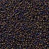 TOHO Round Seed Beads SEED-JPTR11-0615-2