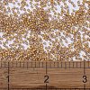 MIYUKI Delica Beads SEED-X0054-DB2043-4