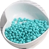 Macaron Baking Paint Glass Seed Beads PW-WGB8861-29-1