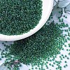 MIYUKI Round Rocailles Beads X-SEED-G007-RR0332-1
