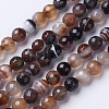 Natural Striped Agate/Banded Agate Beads Strands G-G753-05-8mm-1