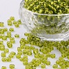6/0 Glass Seed Beads X2-SEED-A005-4mm-24-1