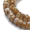 Natural Freshwater Shell Beads Strands X-BSHE-G038-05-4