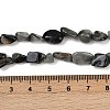 Natural Eagle Eye Stone Beads Strands G-Q060-D06-5
