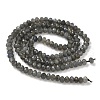 Natural Labradorite Beads Strands G-L622-B02-4x2mm-3
