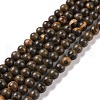 Natural Coffee Jasper Beads Strands G-L501-05C-1