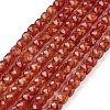Natural Red Agate Beads Strands G-H042-A49-02-2